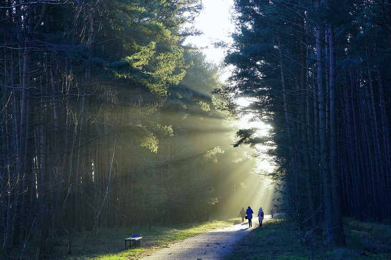 Walking Meditation in Nature